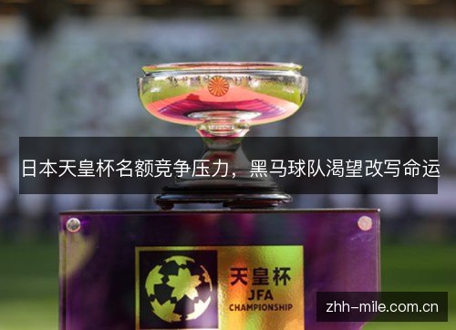 日本天皇杯名额竞争压力,黑马球队渴望改写命运 日本天皇杯名额竞争压力,黑马球队渴望改写命运